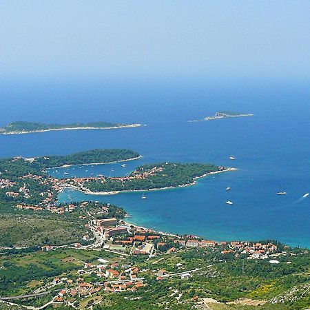 Fenix Two Bedroom Apartments Cavtat Eksteriør billede