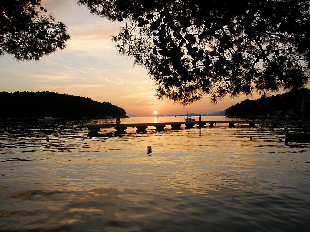 Fenix Two Bedroom Apartments Cavtat Eksteriør billede
